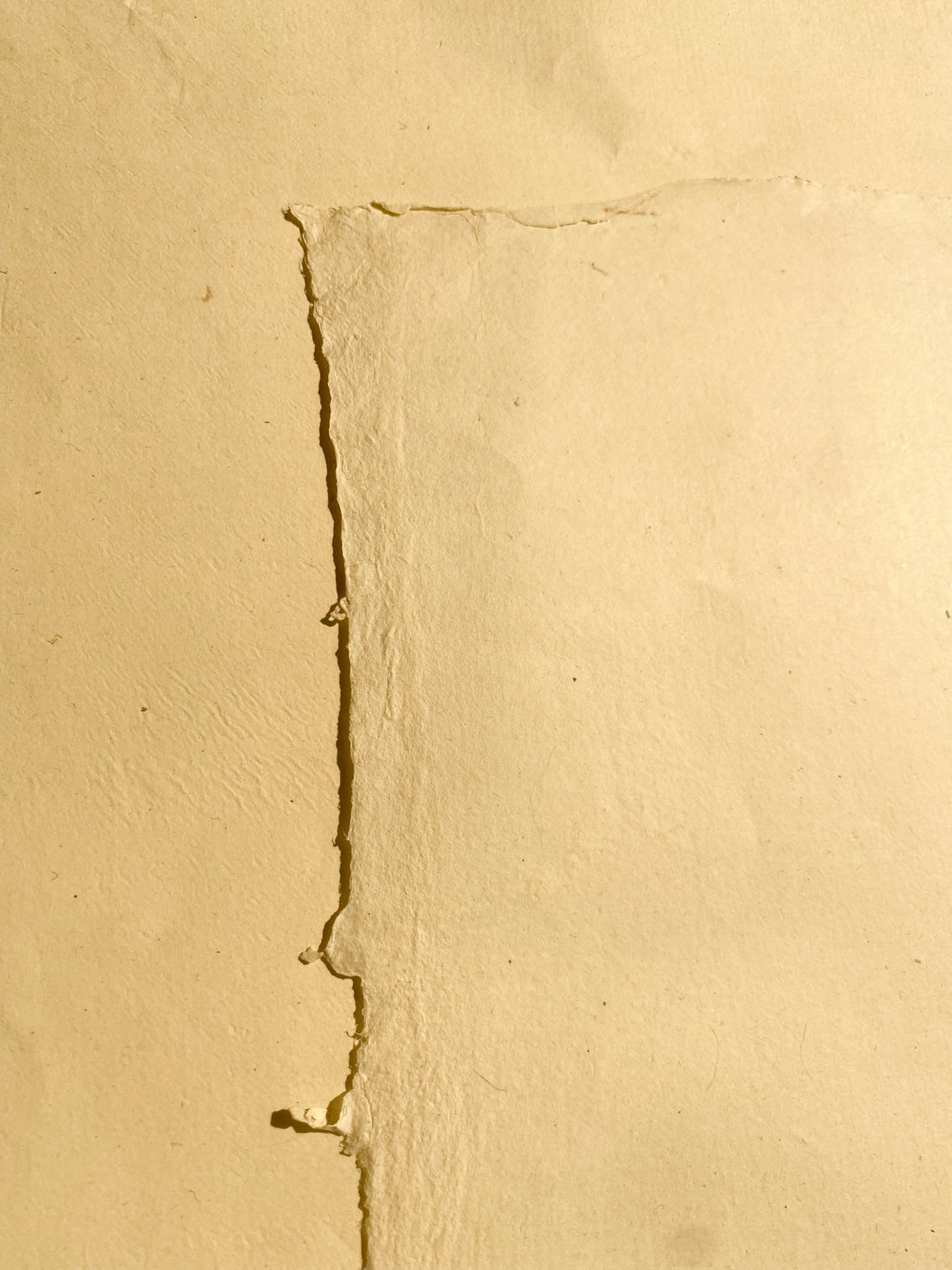 Cannabis Hemp Paper