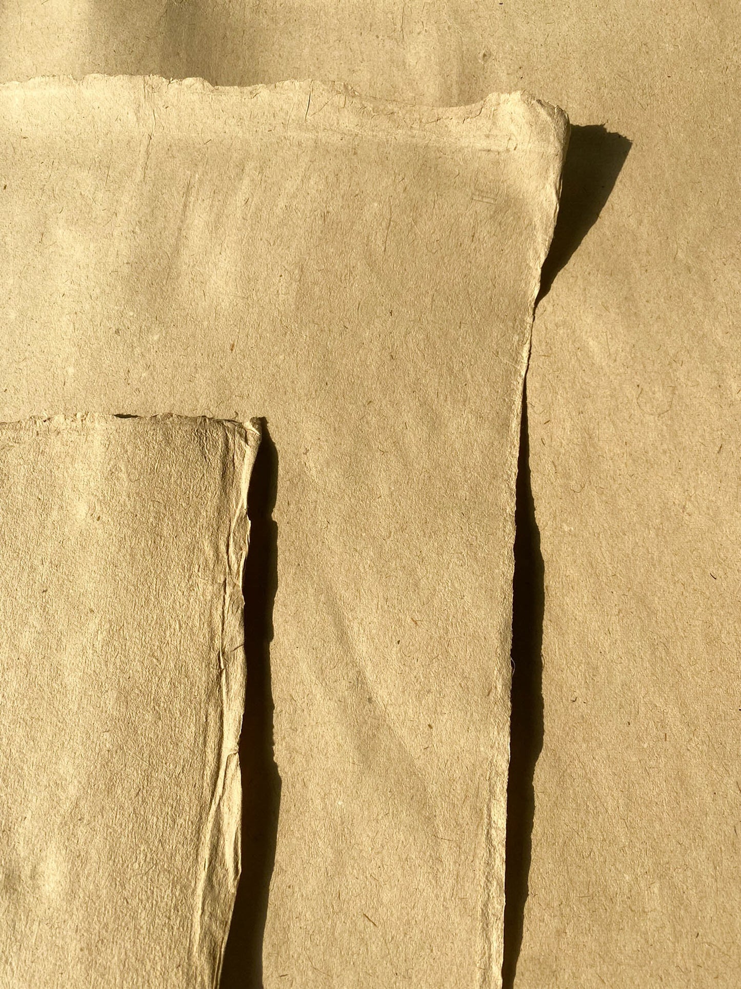 Lemongrass Paper