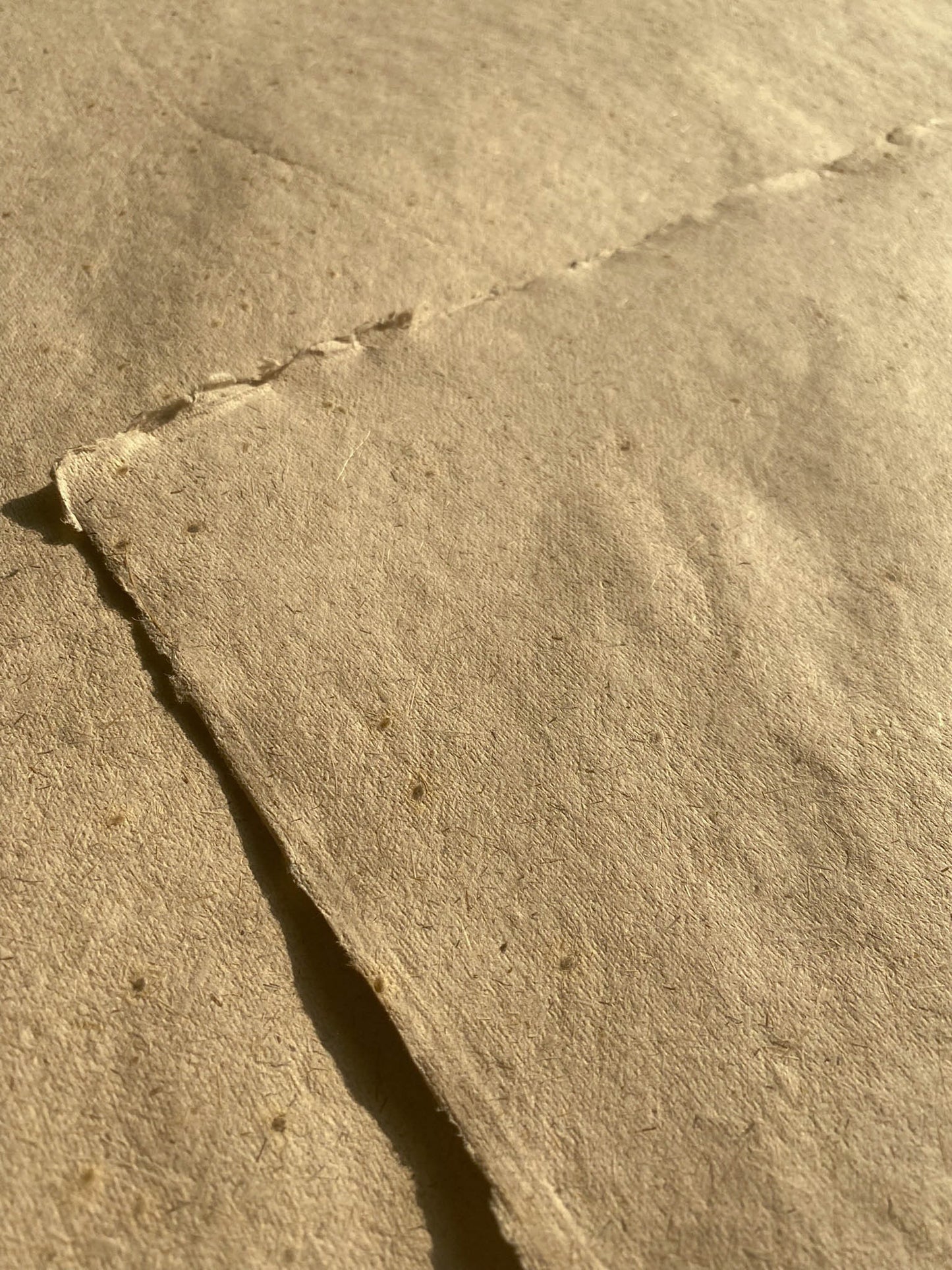 Lemongrass with Mustard Seed Paper