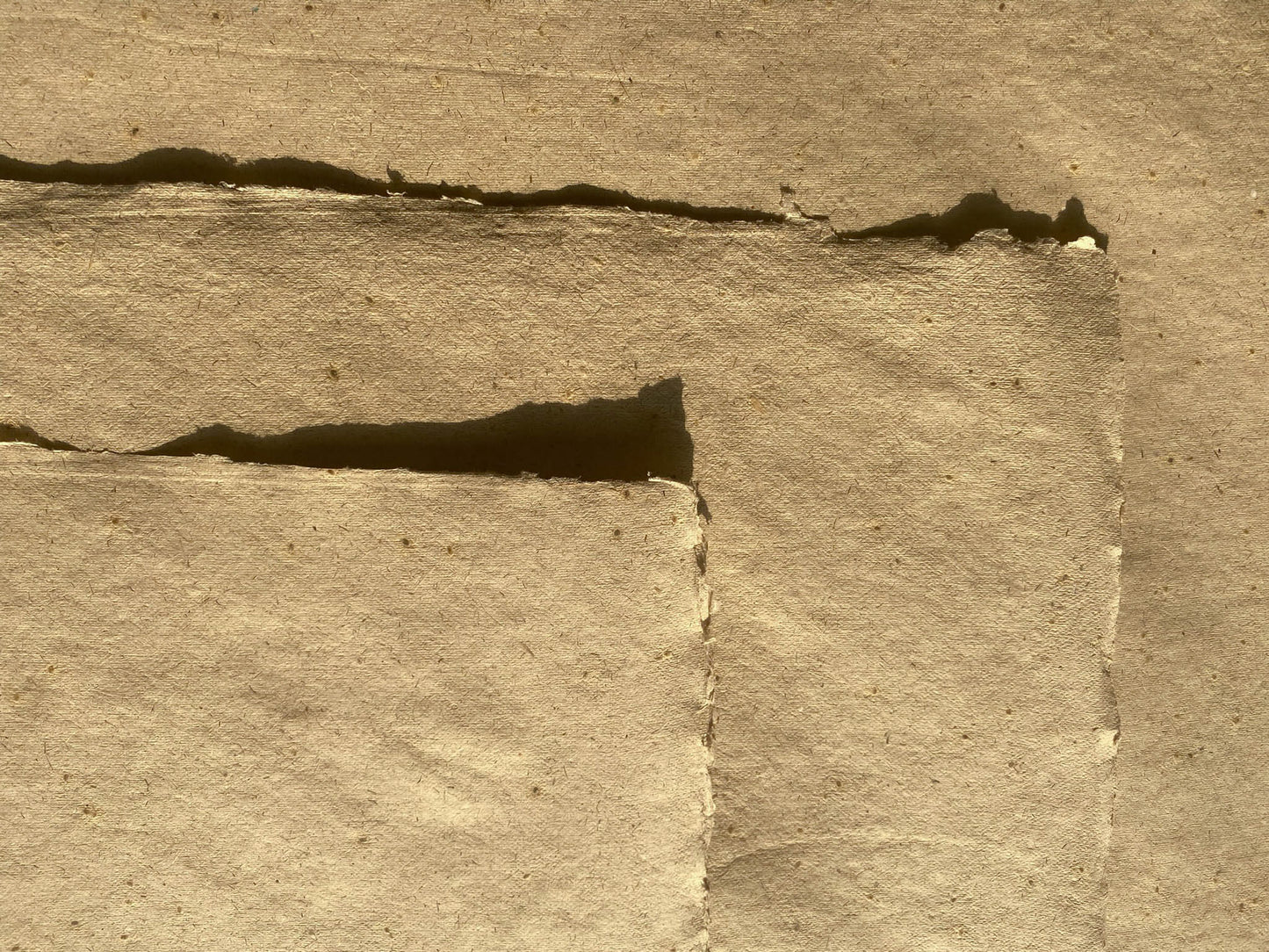 Lemongrass with Mustard Seed Paper