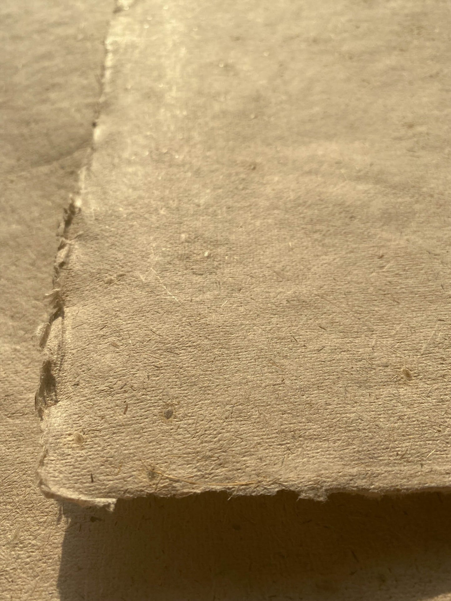 Lemongrass with Mustard Seed Paper