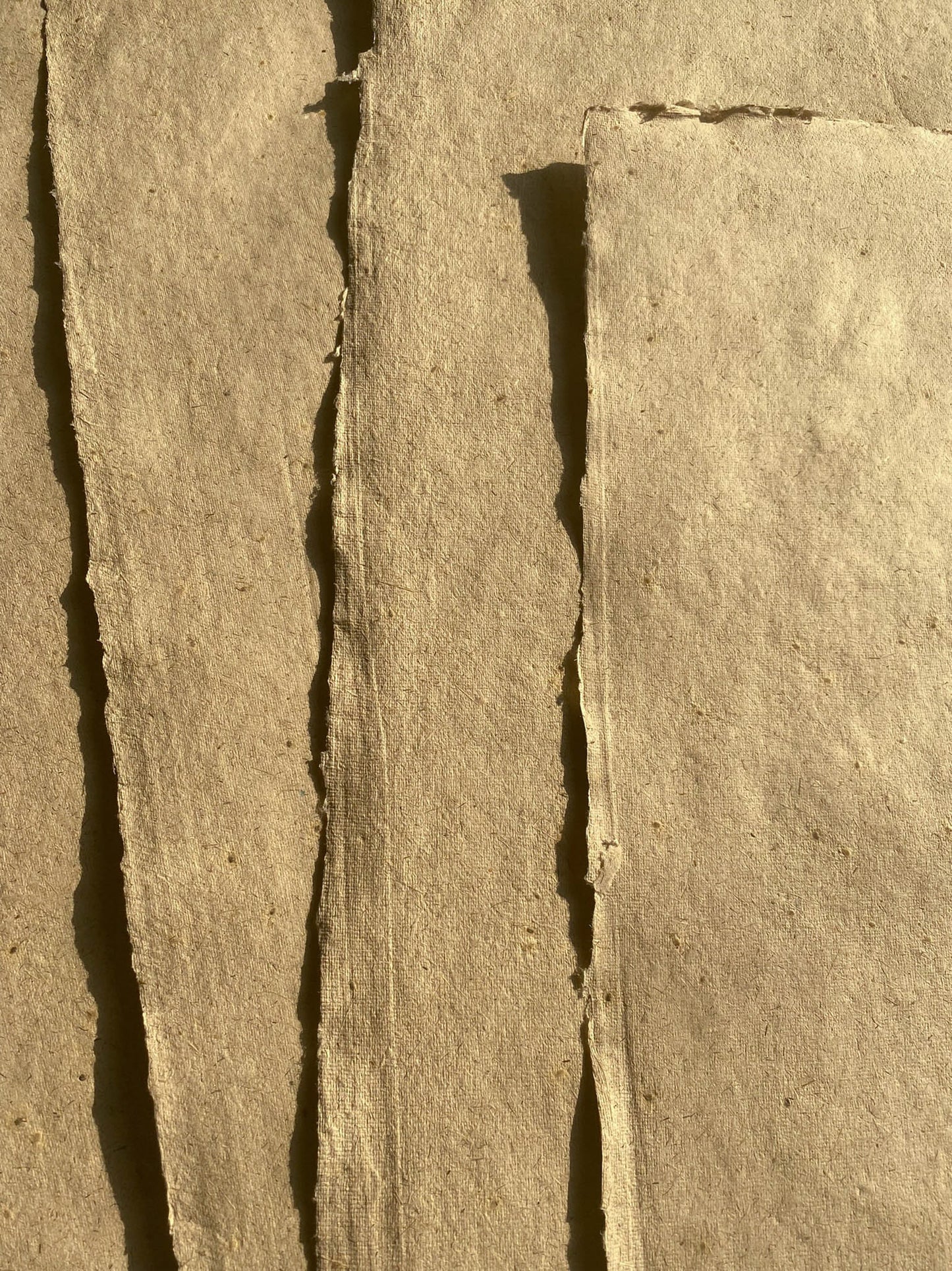 Lemongrass with Mustard Seed Paper