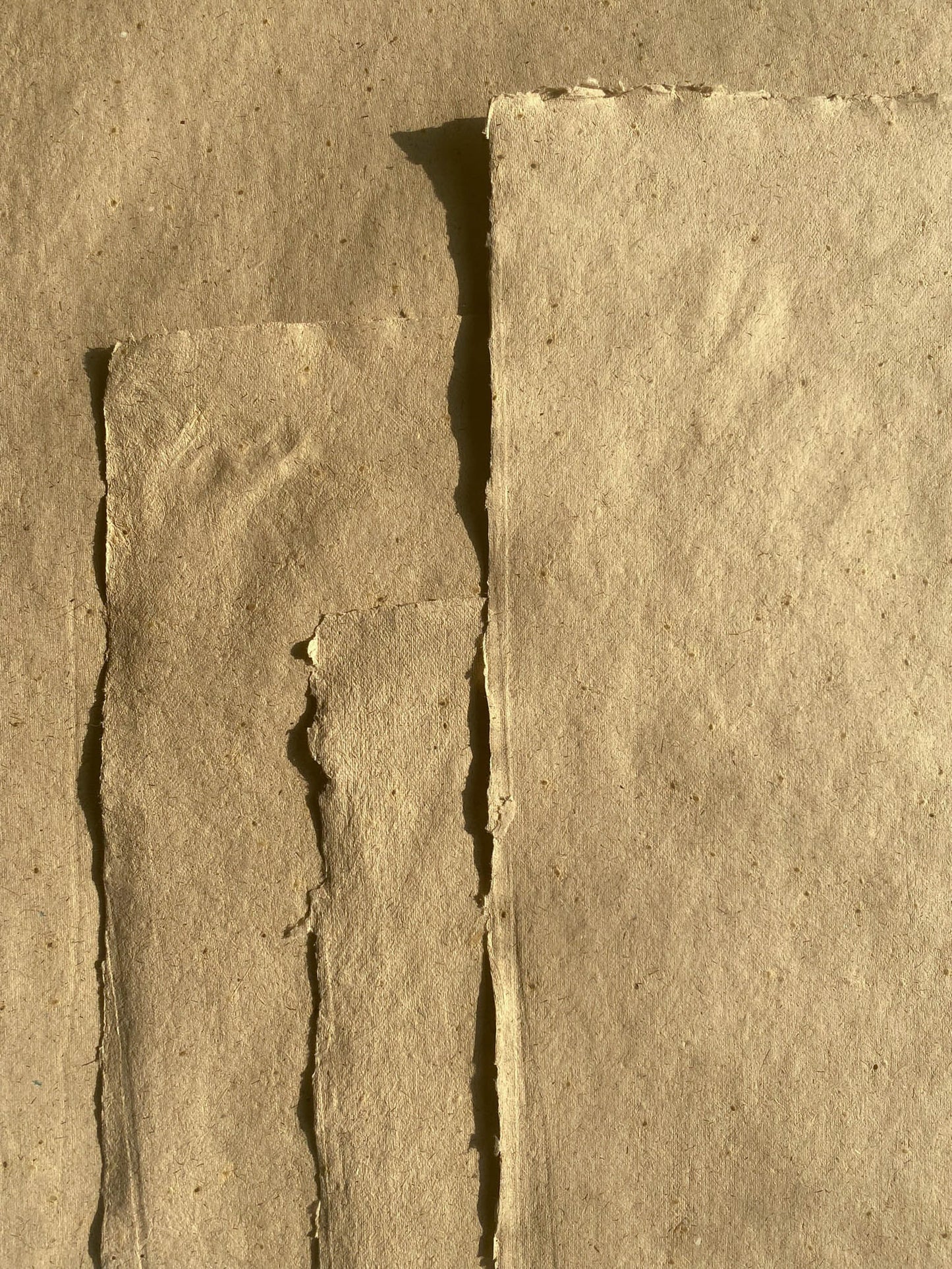 Lemongrass with Mustard Seed Paper