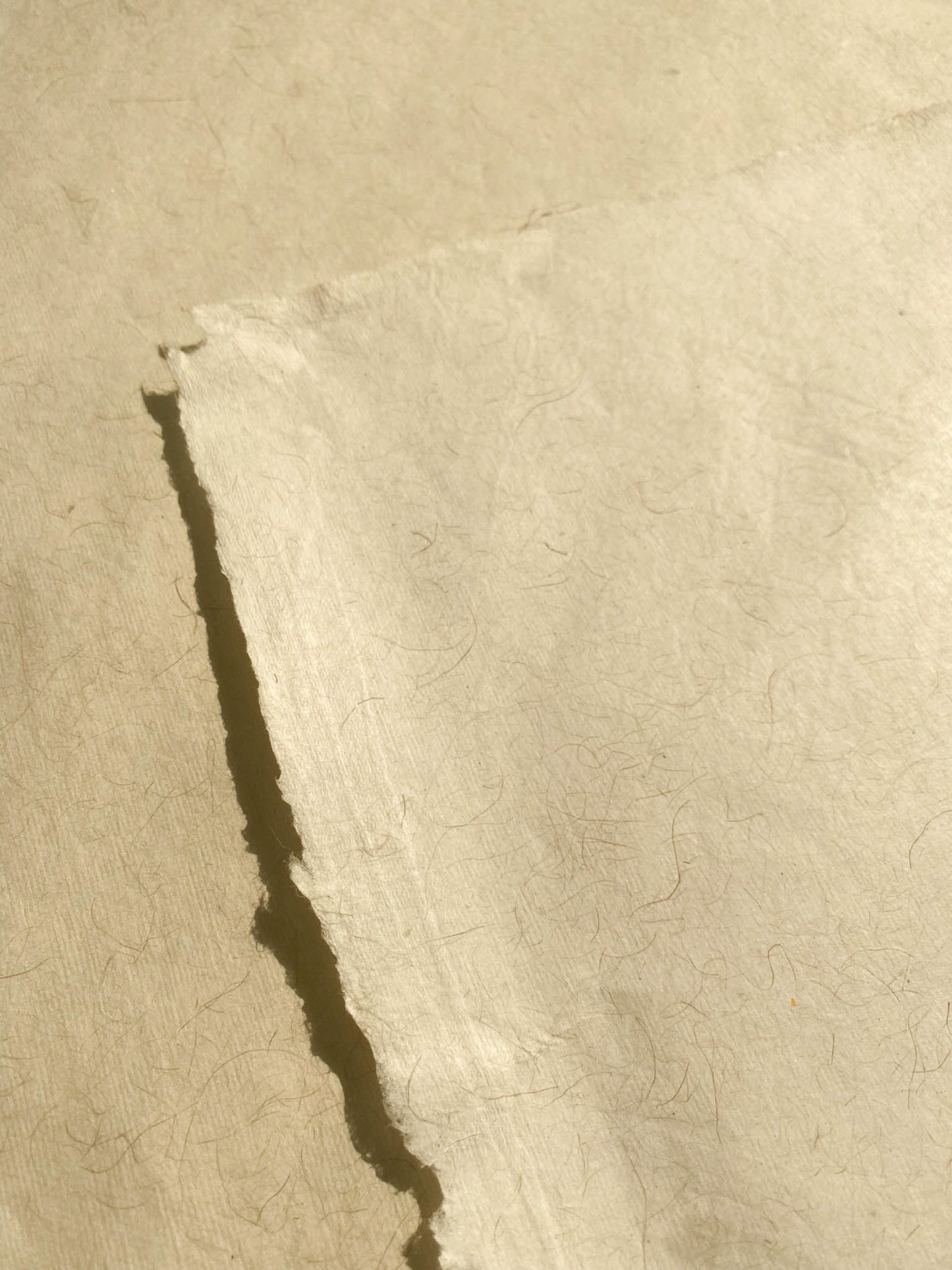 Banana Paper