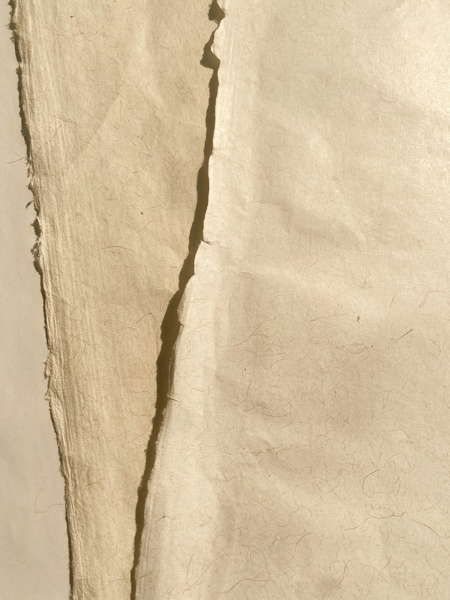 Banana Paper
