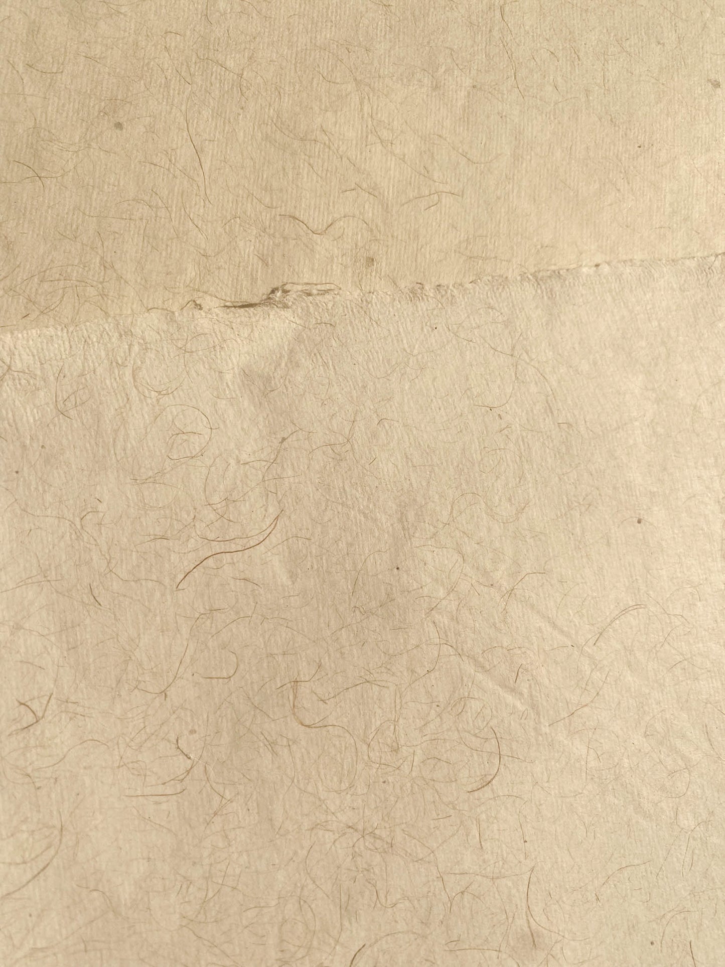 Banana Paper