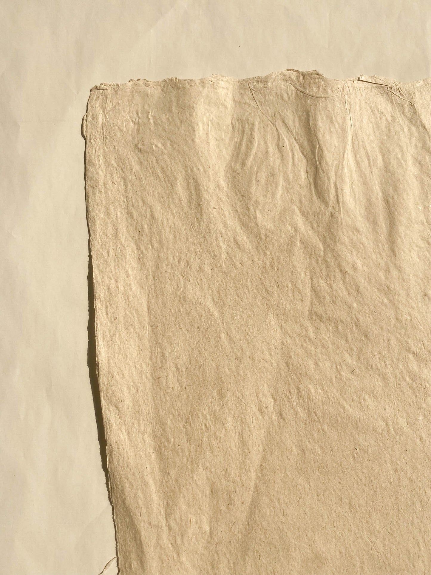 Banana Paper