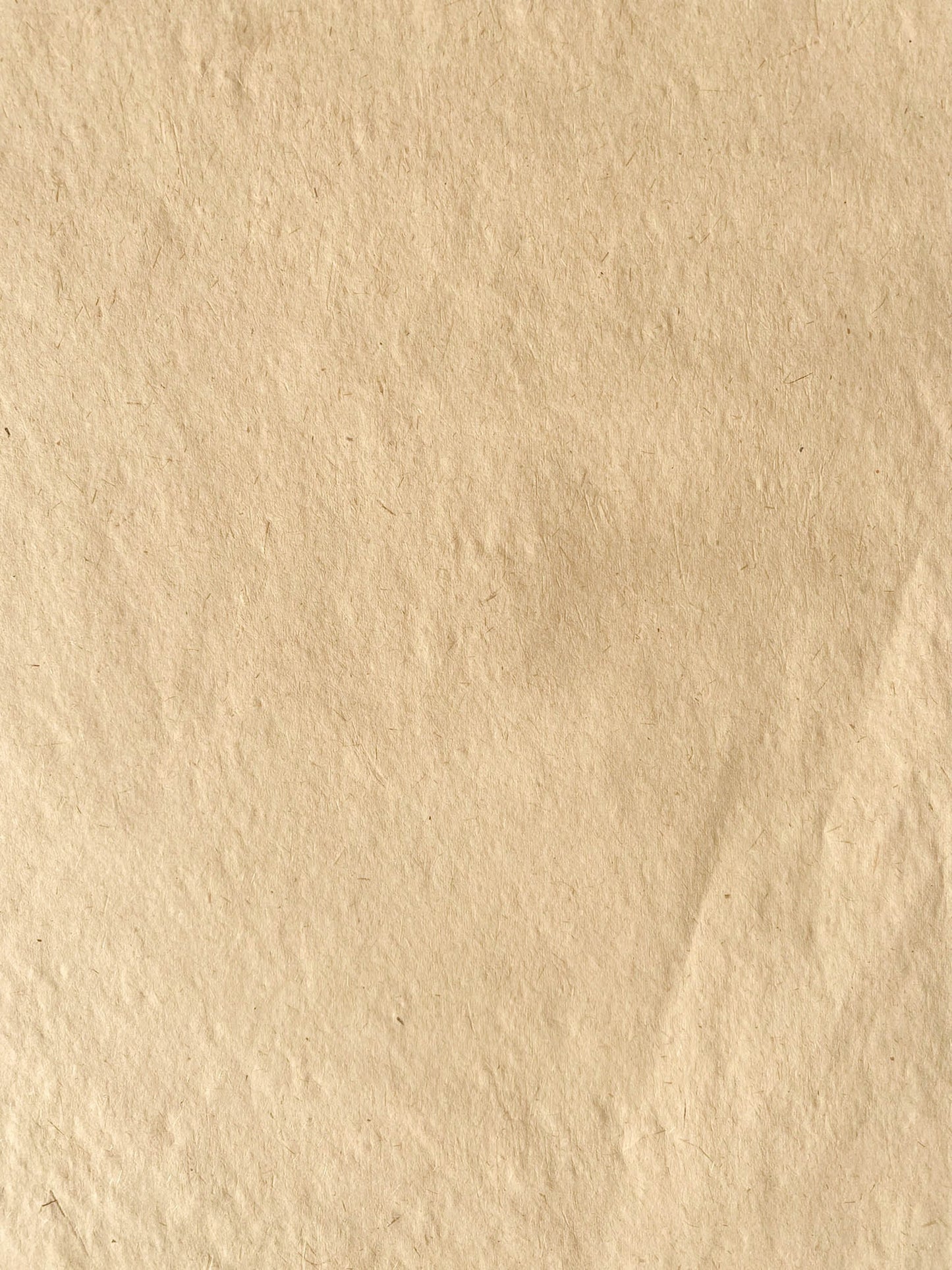 Banana Paper