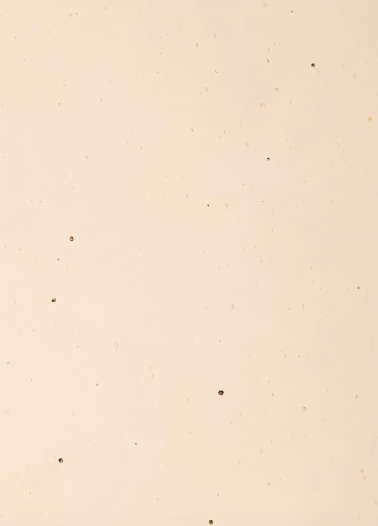 Wild Flower Seeds Paper