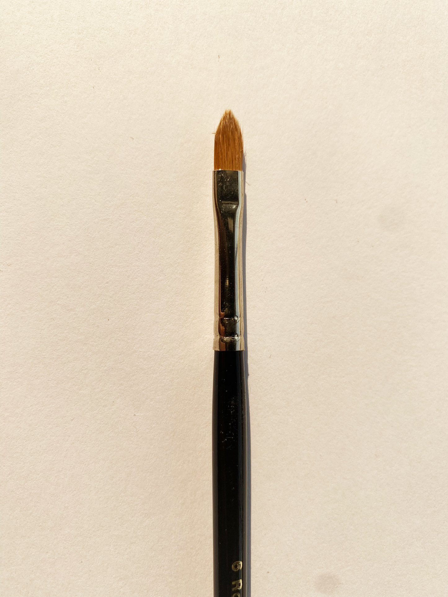 Pure Kolinsky Filbert Series - 66 Size - 6