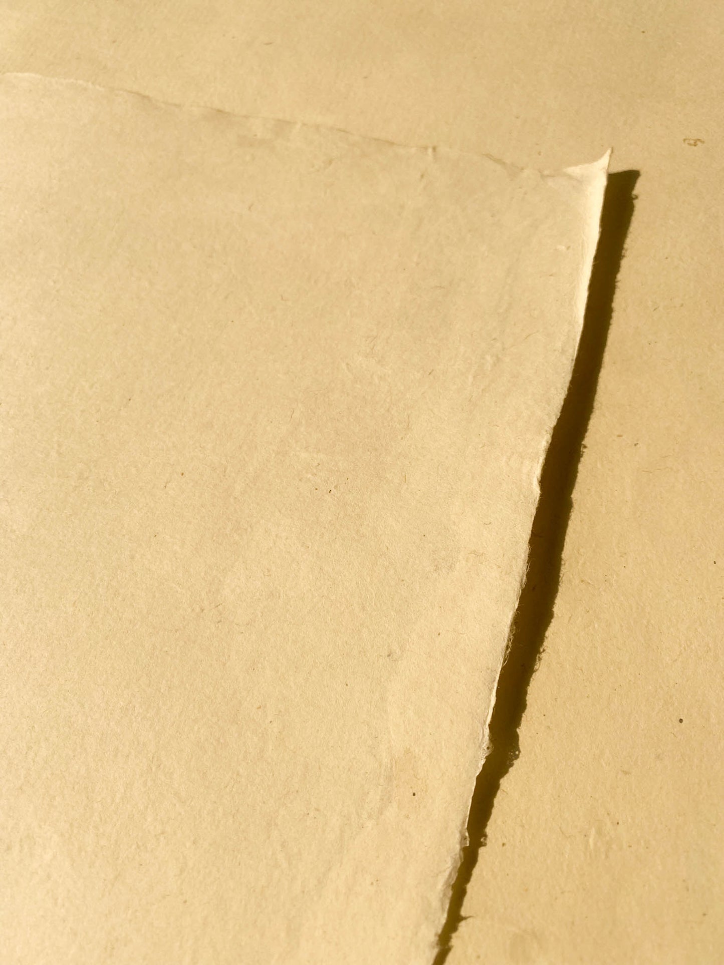 Cannabis Hemp Paper