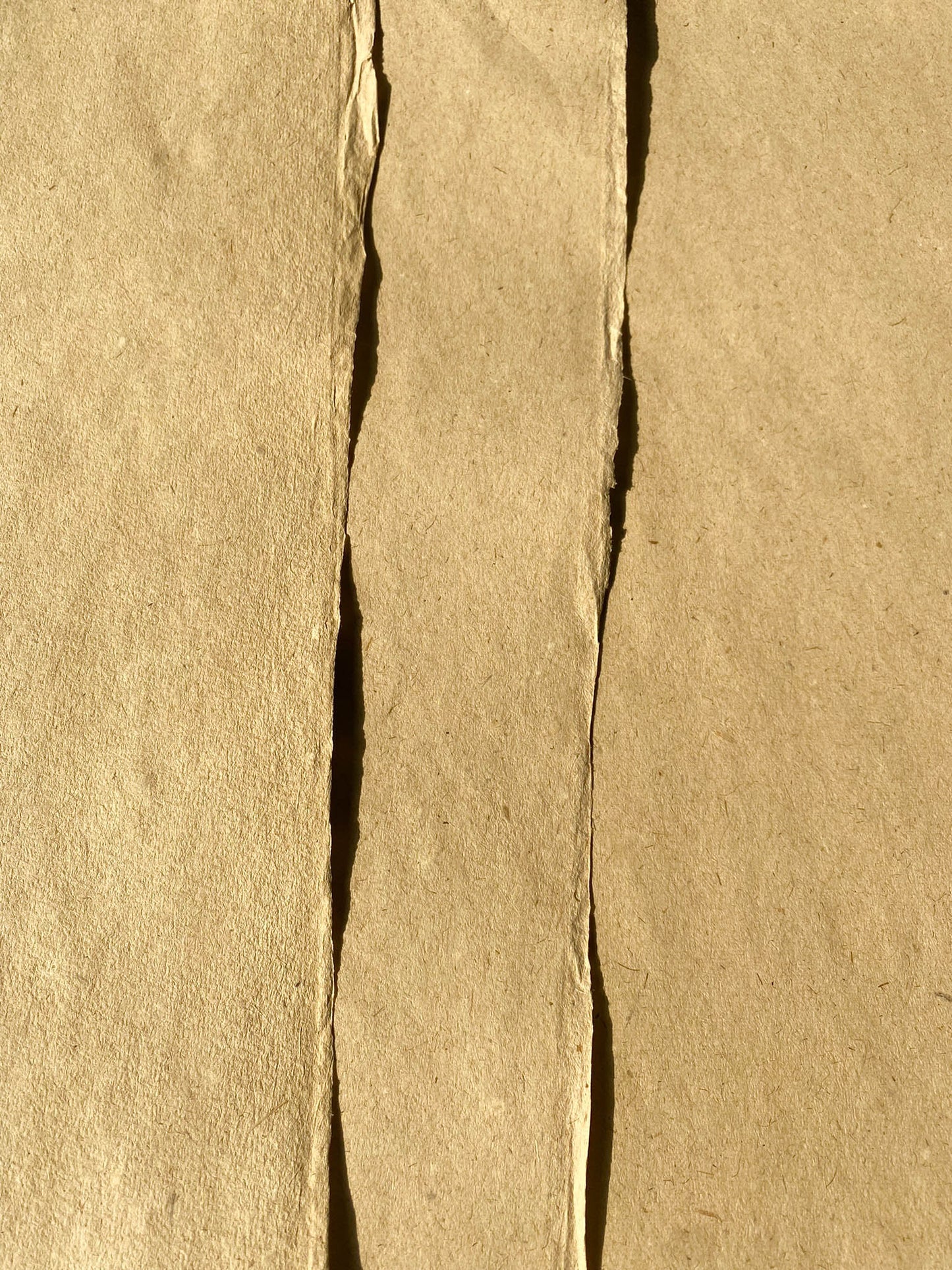 Lemongrass Paper