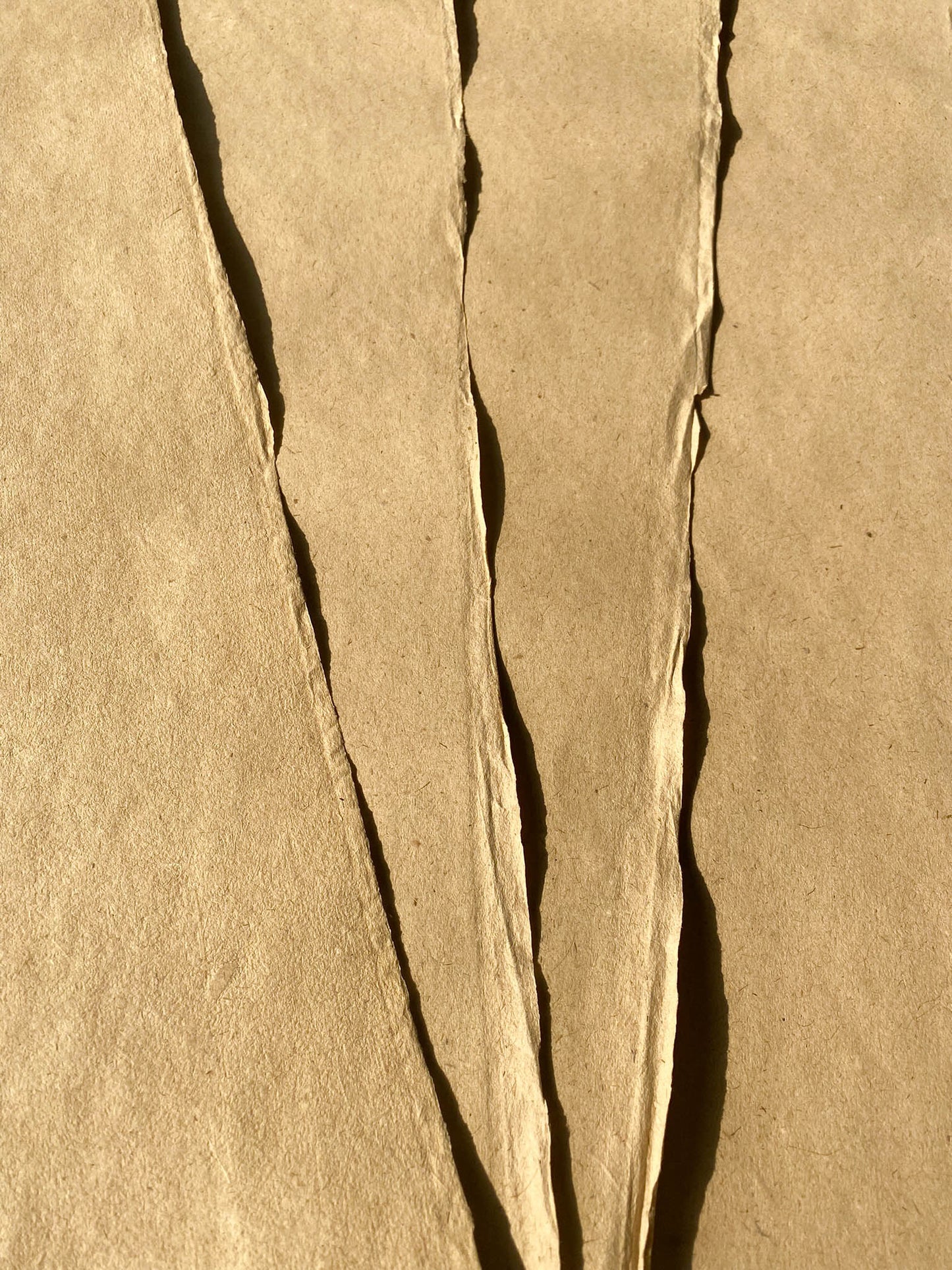 Lemongrass Paper