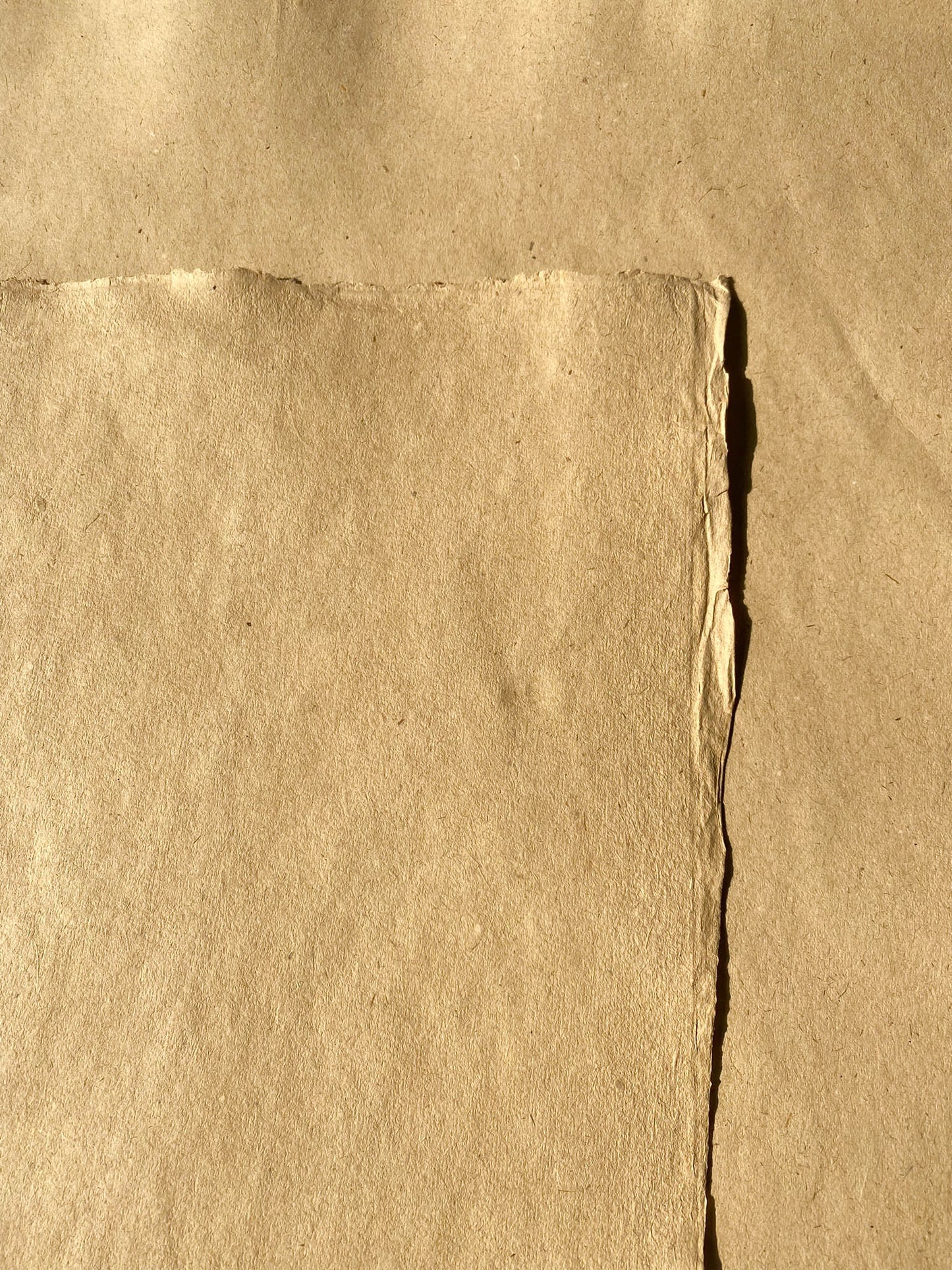 Lemongrass Paper