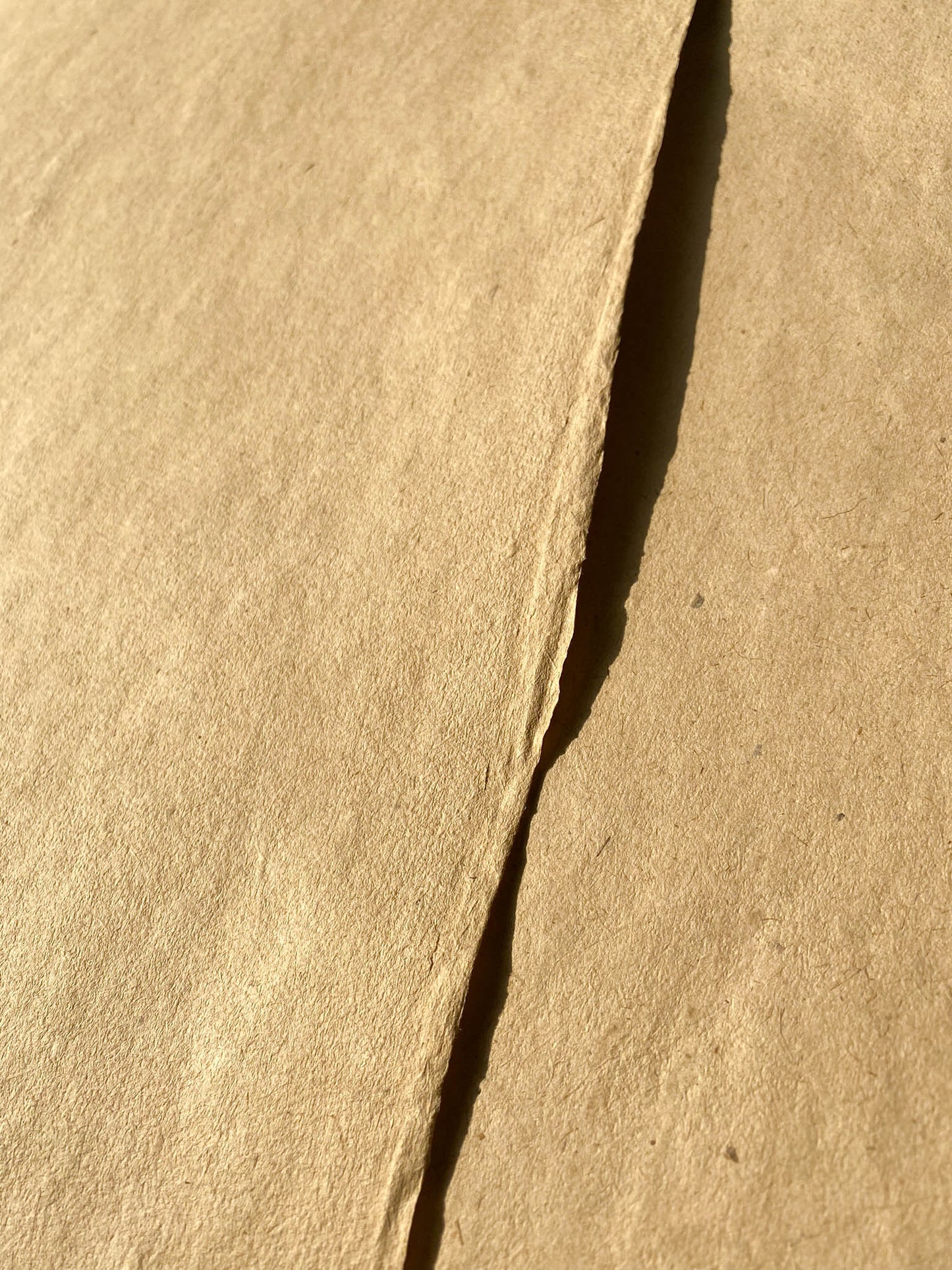 Lemongrass Paper