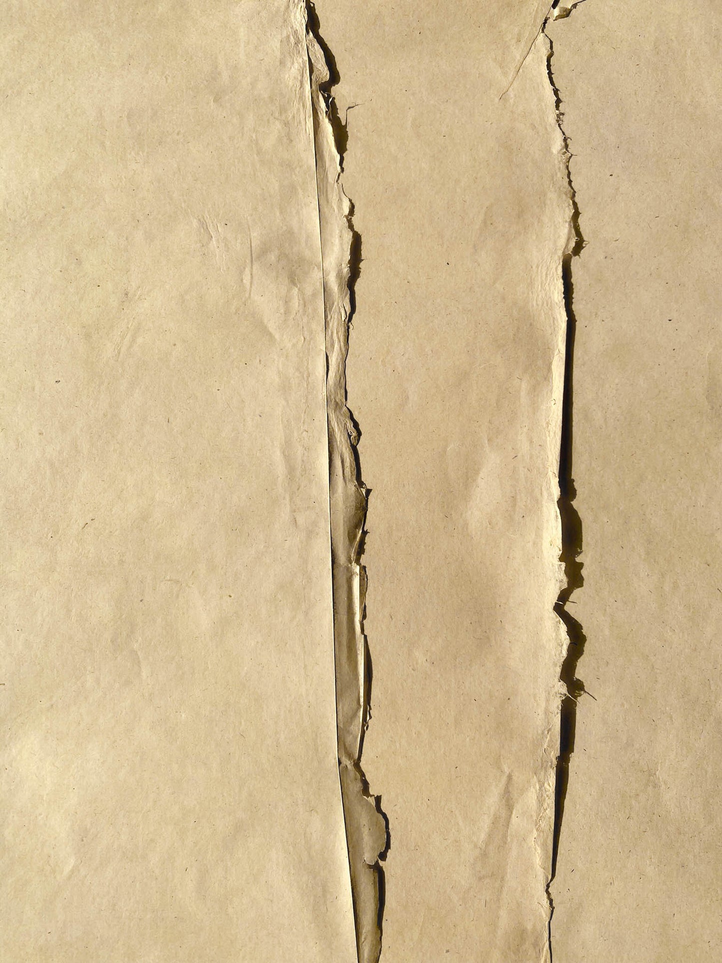 Jute Paper