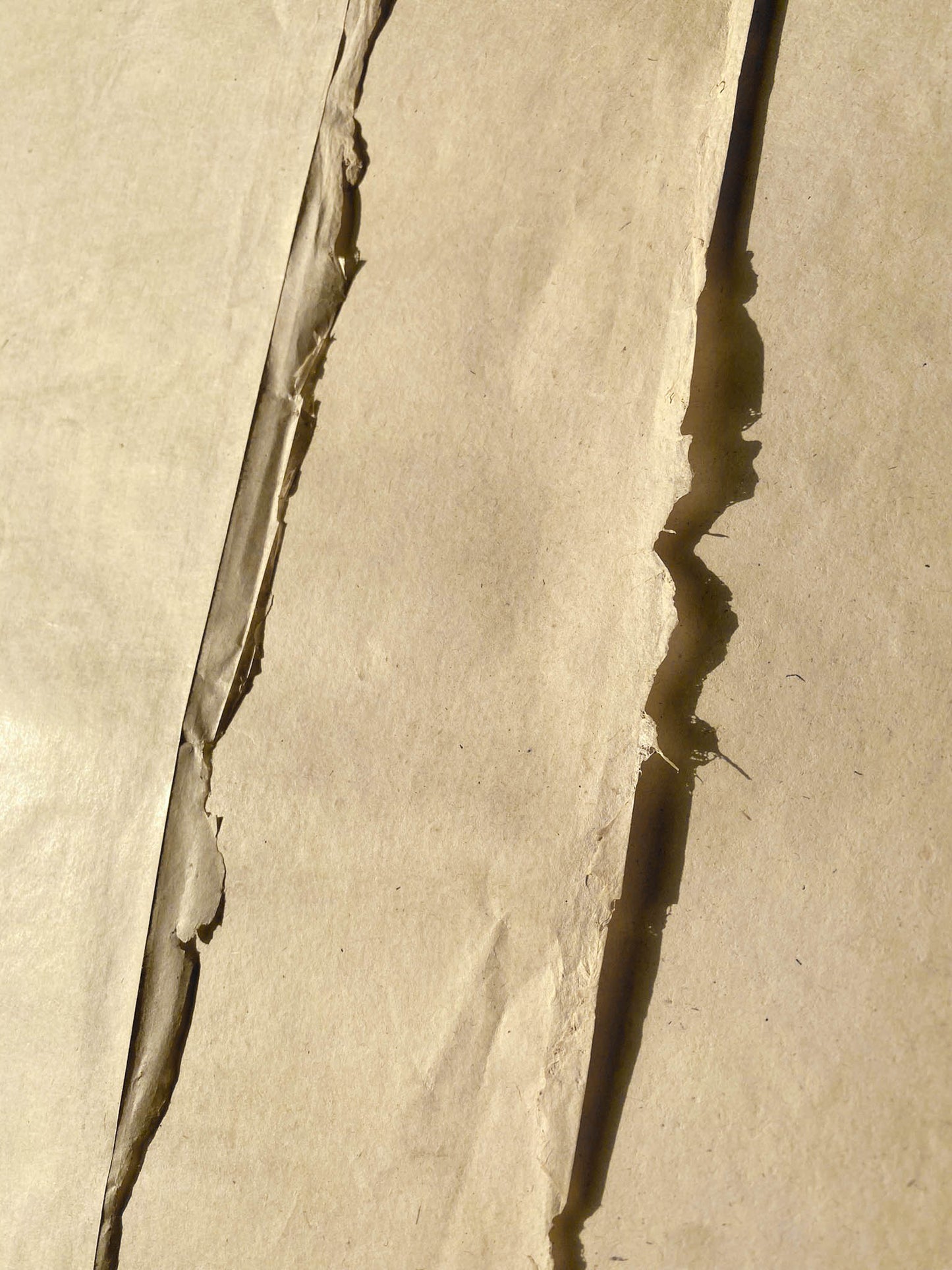 Jute Paper