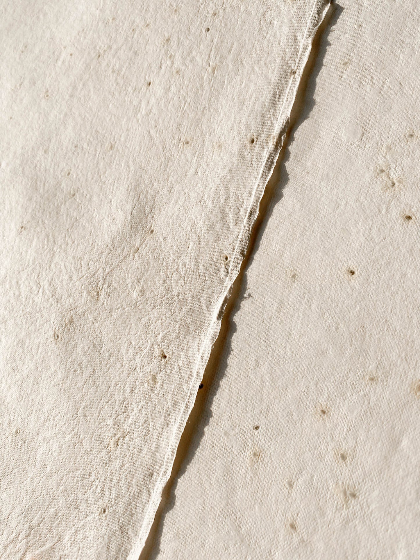 Basil Seed Paper