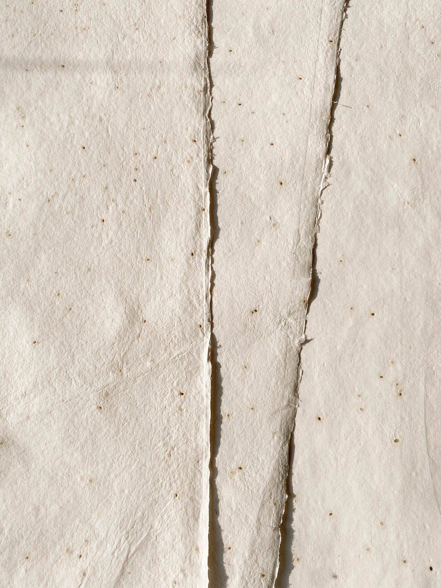 Basil Seed Paper