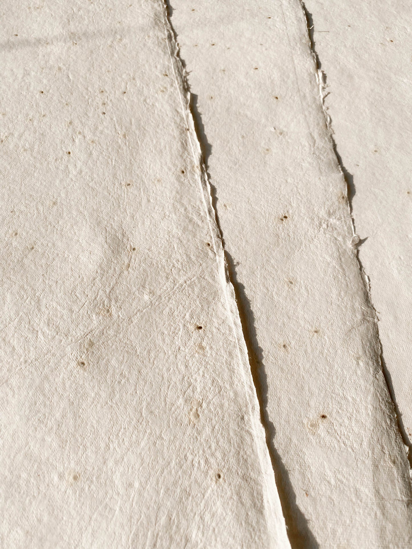 Basil Seed Paper