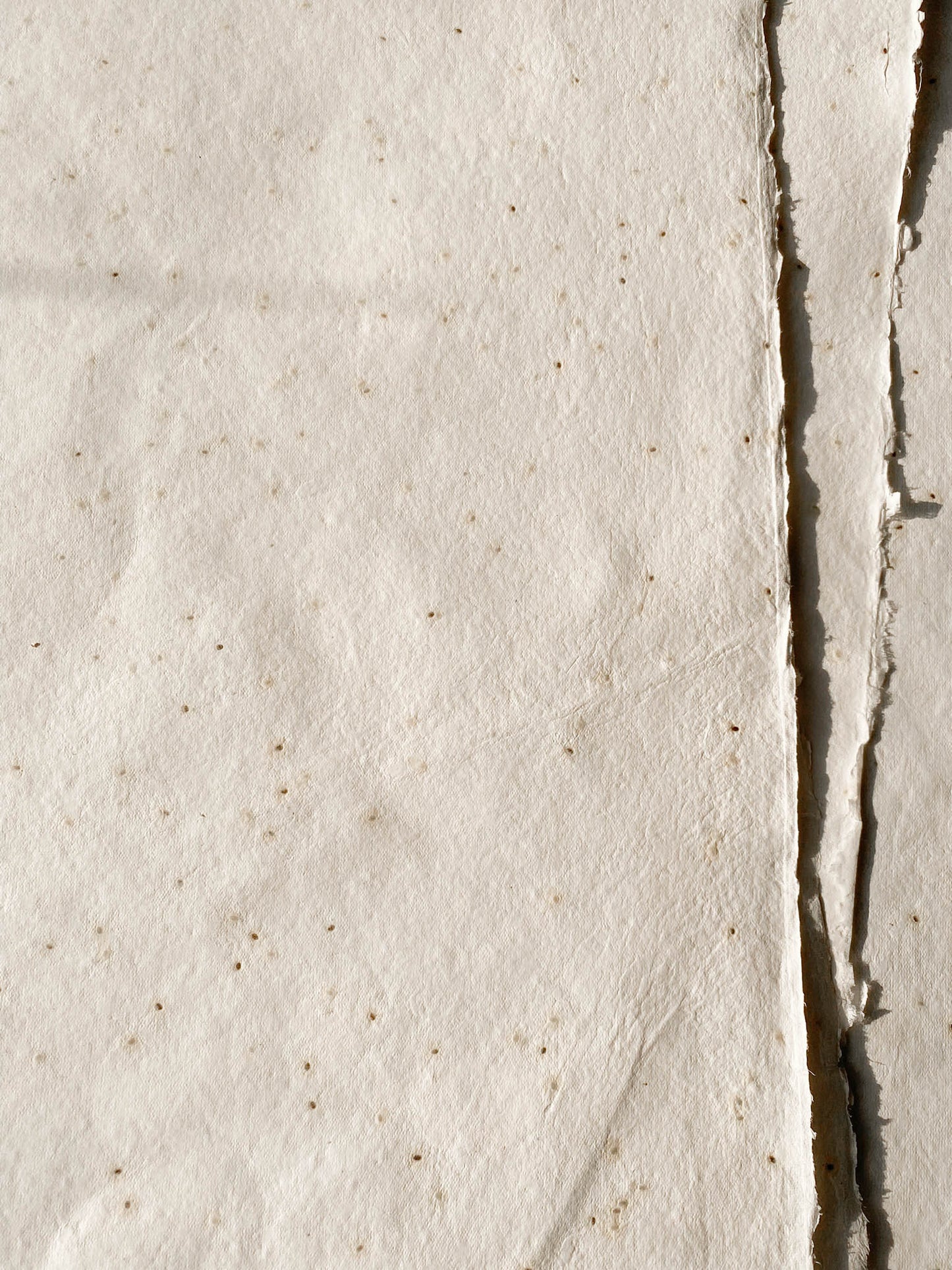 Basil Seed Paper