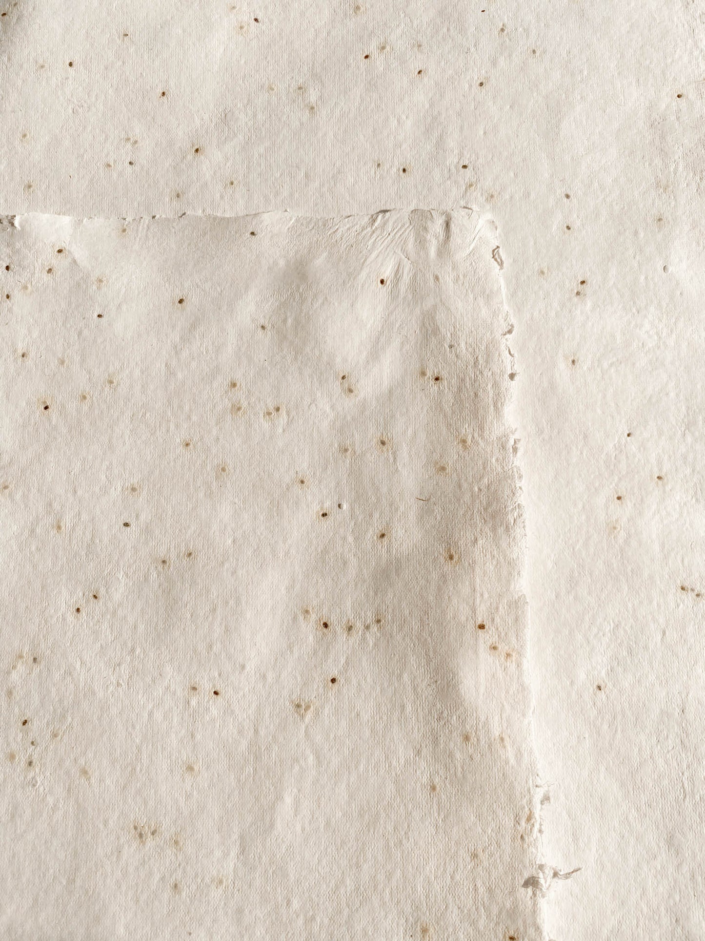 Basil Seed Paper