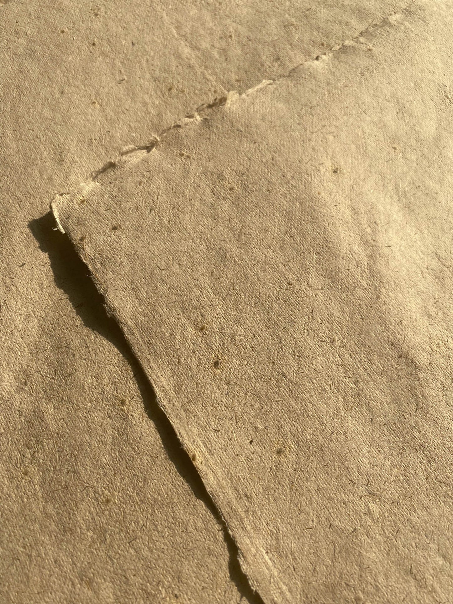Lemongrass with Mustard Seed Paper
