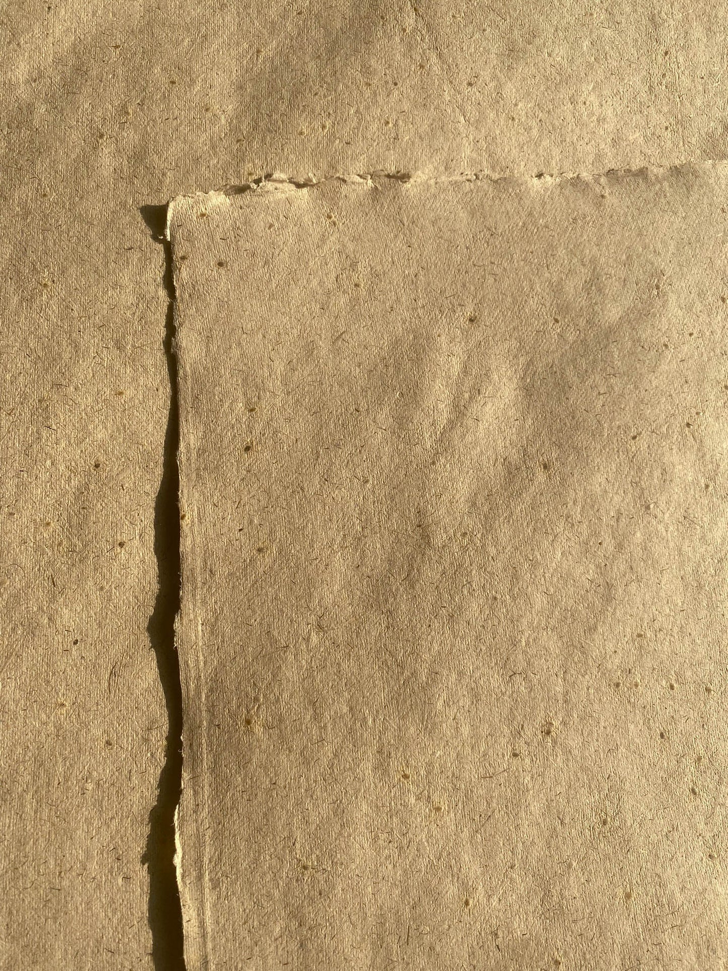 Lemongrass with Mustard Seed Paper