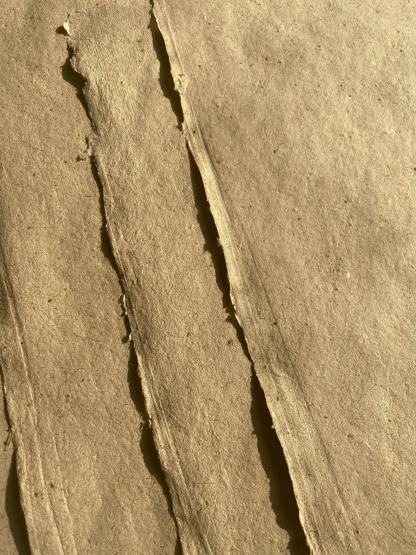 Lemongrass with Mustard Seed Paper