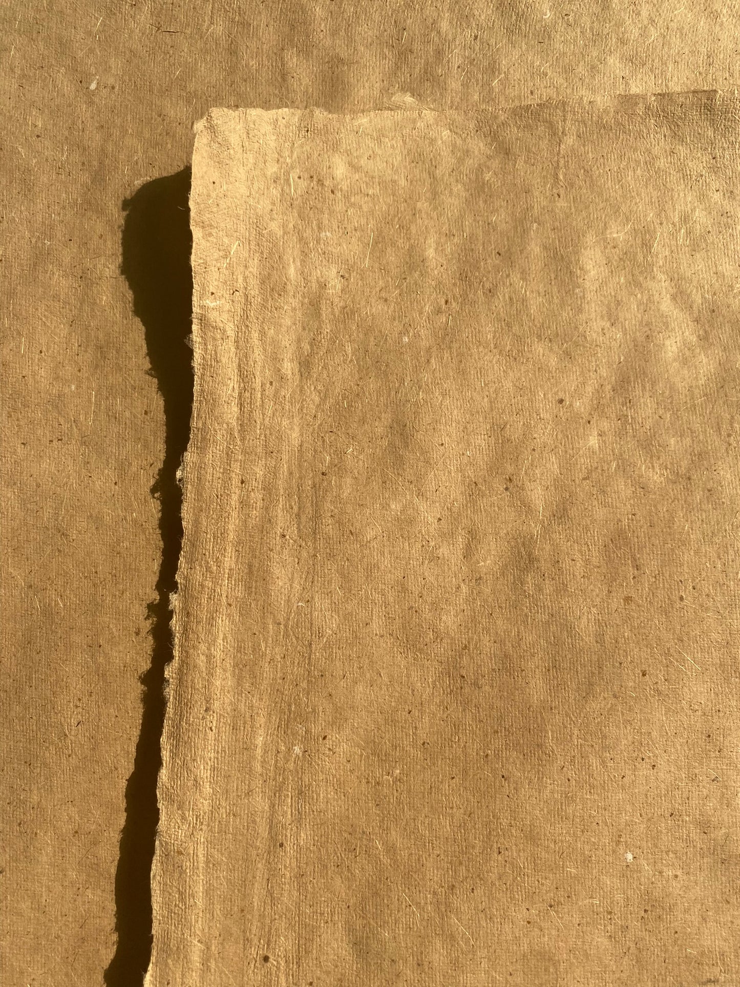 Mustard Seed Paper