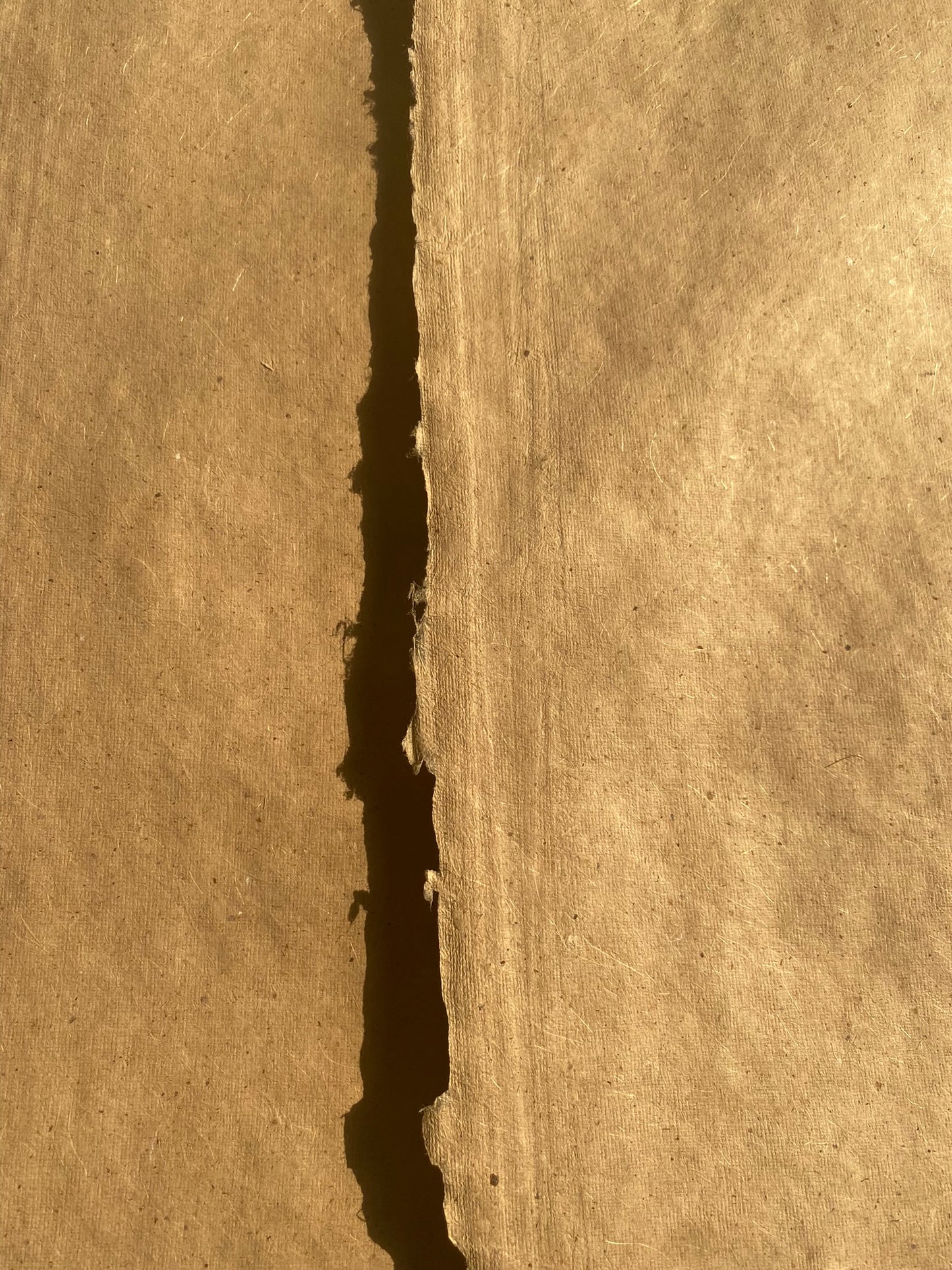 Mustard Seed Paper