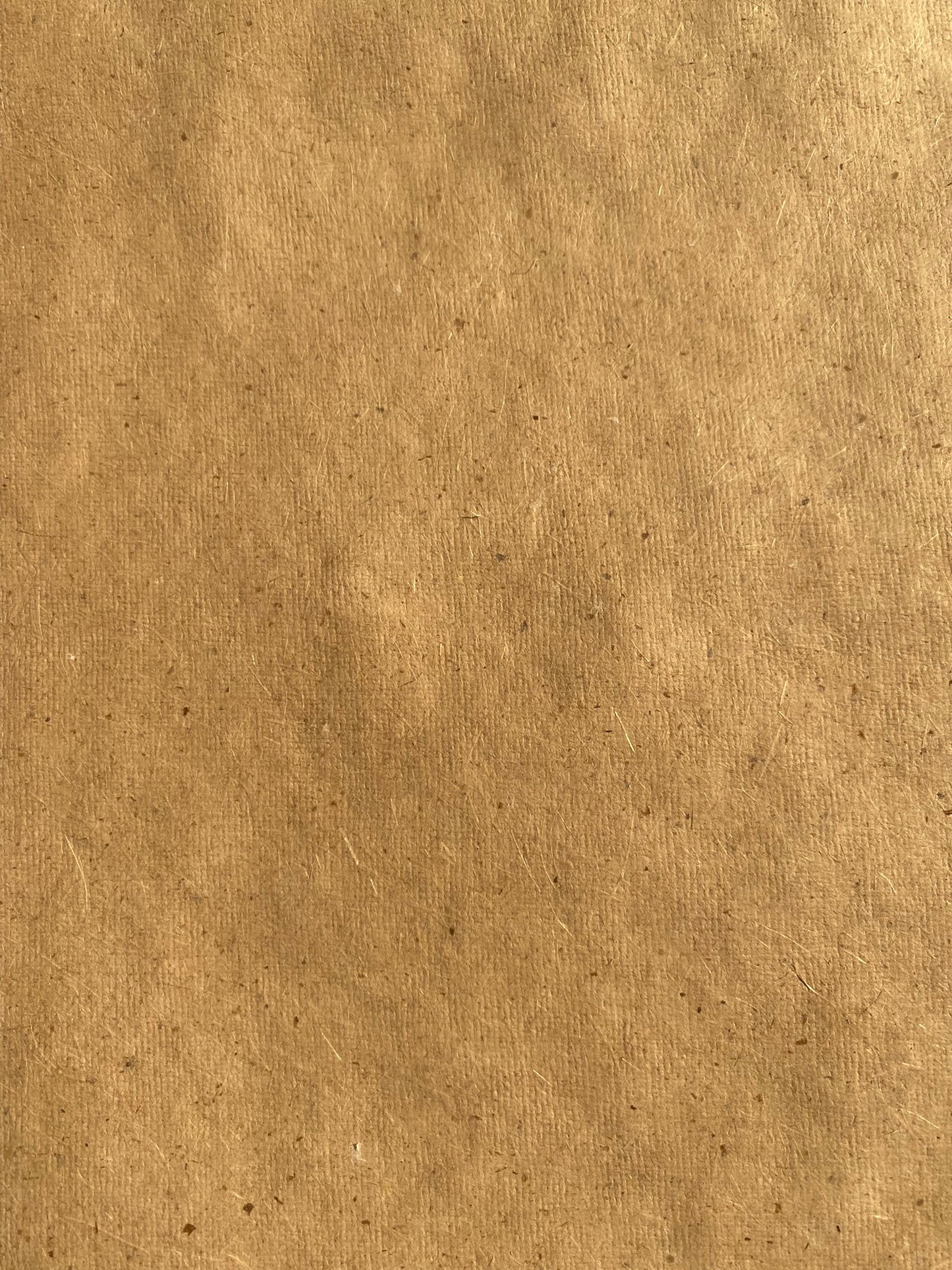 Mustard Seed Paper