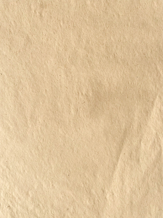 Banana Paper