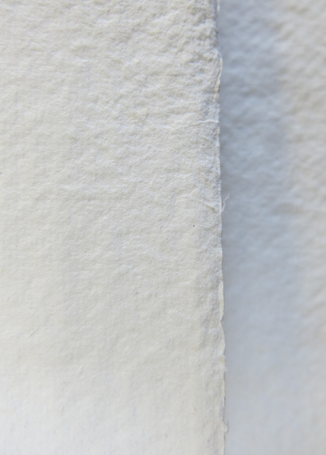 Rough White Cotton Rag 320GSM