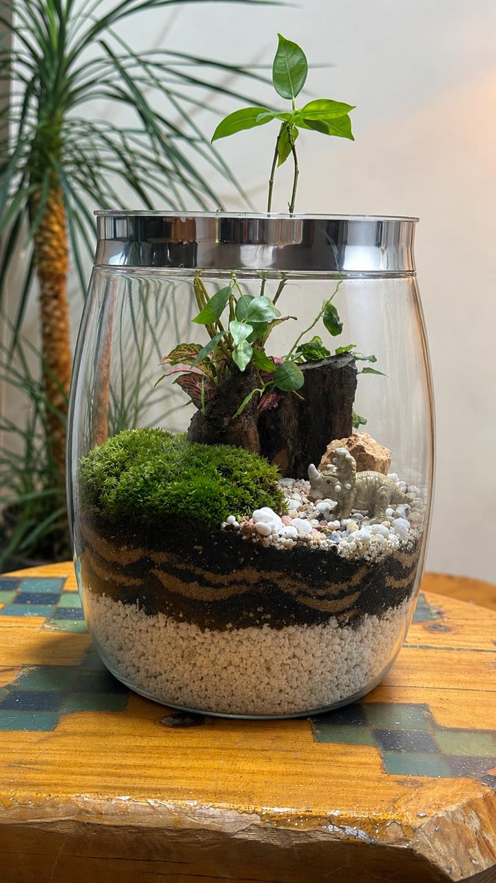 ورشة عمل التيراريوم - صناعة لوحة من الطبيعه  I  Creating a Living Landscape - A terrarium Workshop