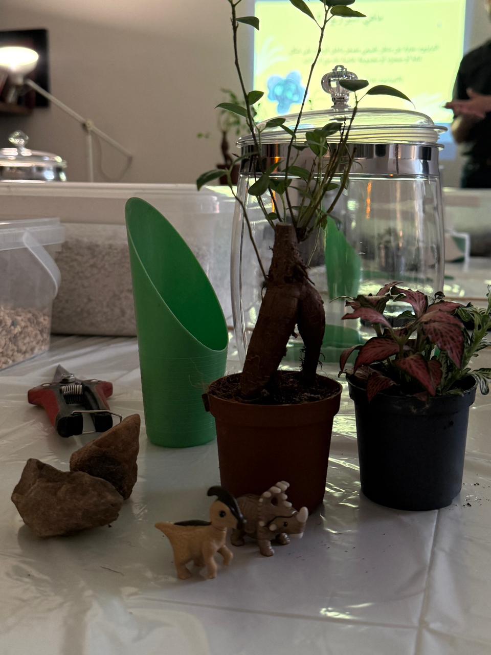 ورشة عمل التيراريوم - صناعة لوحة من الطبيعه  I  Creating a Living Landscape - A terrarium Workshop