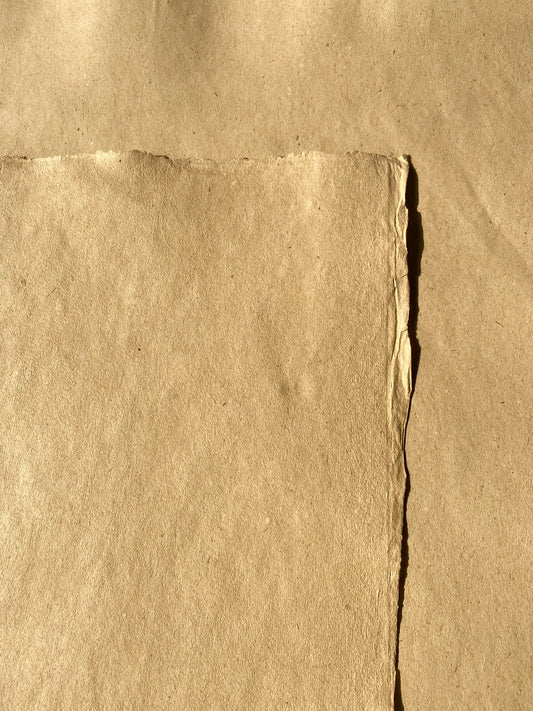 Lemongrass Paper