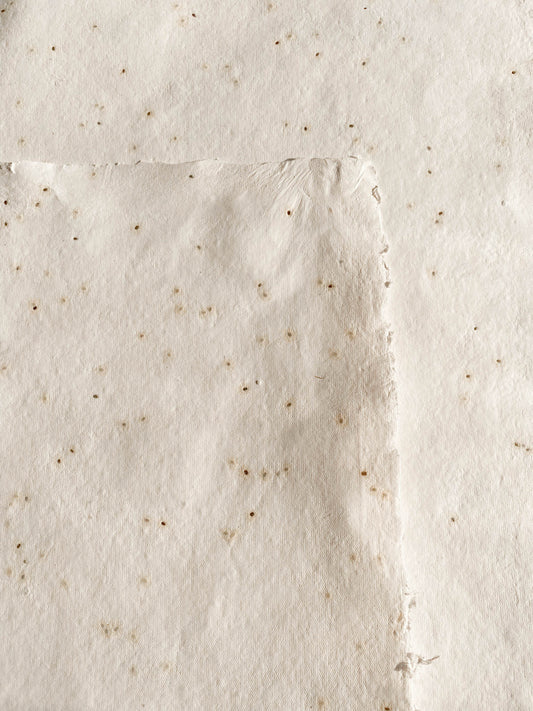 Basil Seed Paper